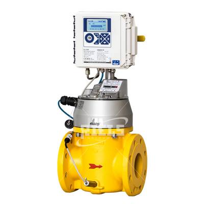 ĐỒNG HỒ ĐO LƯU LƯỢNG KHÔNG KHÍ & KHÍ ĐỐT TRZ Volumetric meters-RIELS