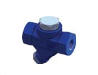 BẨY HƠI NHIỆT ĐỘNG LẮP REN PN40 TSTT46D TERMO (EU)