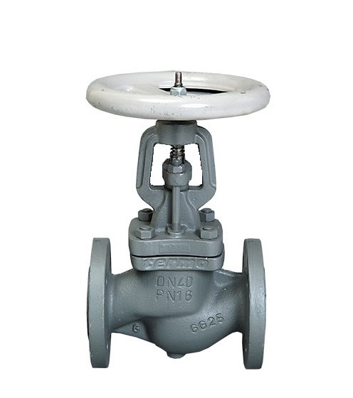 VAN MỘT CHIỀU ĐIỀU CHỈNH (SDNR) LẮP BÍCH PN40 TVGK36F TERMO (EU)