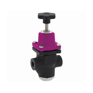 VAN GIẢM ÁP KIỂU PILOT LẮP REN PN16 TBDA23F3 TERMO (EU)